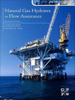 cover image of Natural Gas Hydrates in Flow Assurance